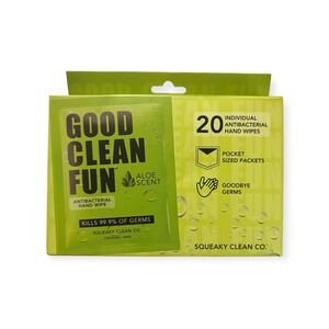 2 Pckgs - Good Clean Fun‎ Antibacterial Hand Wipes Aloe Scent 20 Ct Pocket Size